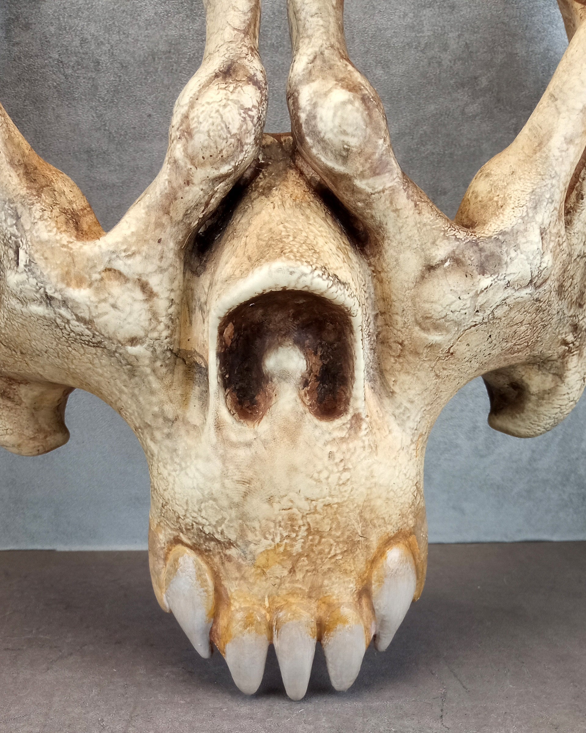 Skeleton Hand Mask – Bone-Color Hand Glasses with Jaw and Teeth Design