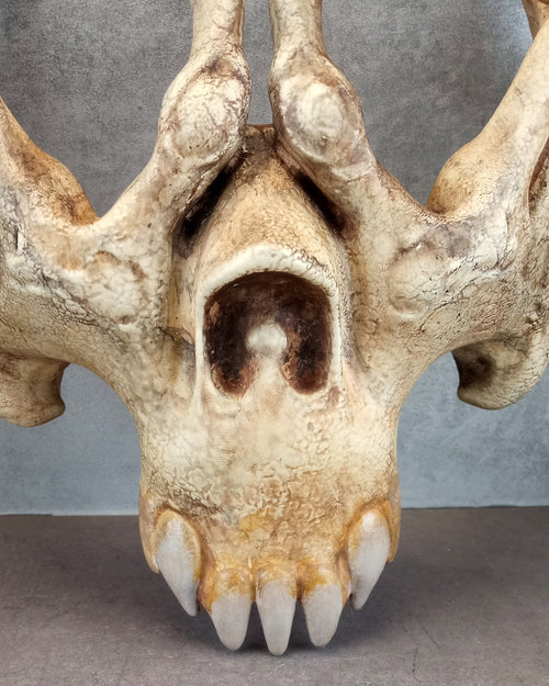 Skeleton Hand Mask – Bone-Color Hand Glasses with Jaw and Teeth Design